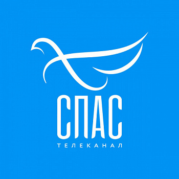Серия сюжетов о фестивале